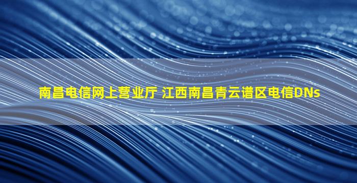 南昌电信网上营业厅 江西南昌青云谱区电信DNs